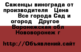 Саженцы винограда от производителя › Цена ­ 800 - Все города Сад и огород » Другое   . Воронежская обл.,Нововоронеж г.